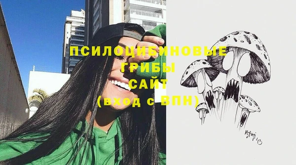 mix Надым